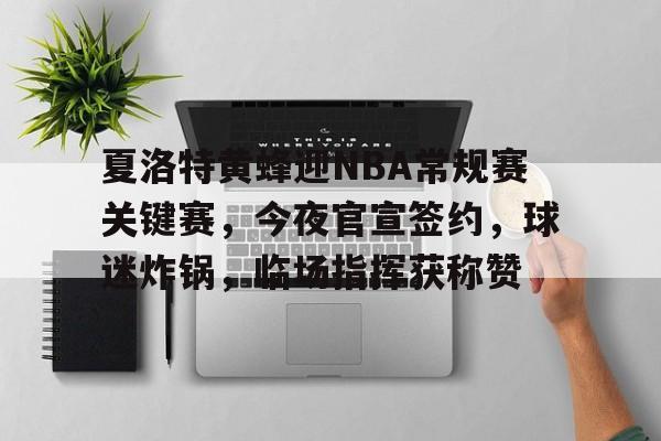 夏洛特黄蜂迎NBA常规赛关键赛，今夜官宣签约，球迷炸锅，临场指挥获称赞的简单介绍